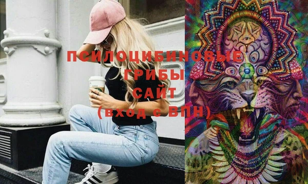 ешки Аркадак