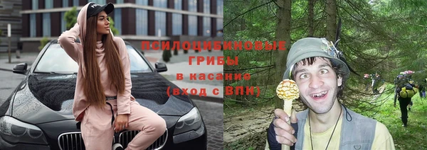 ешки Арсеньев