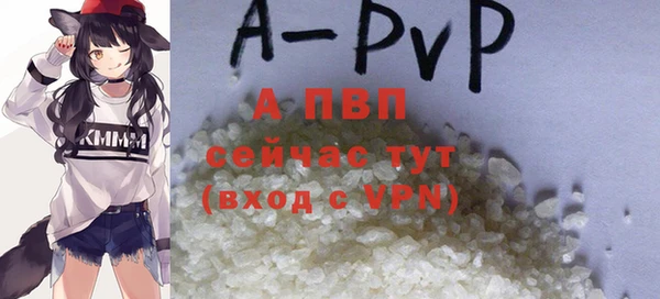 ешки Аркадак