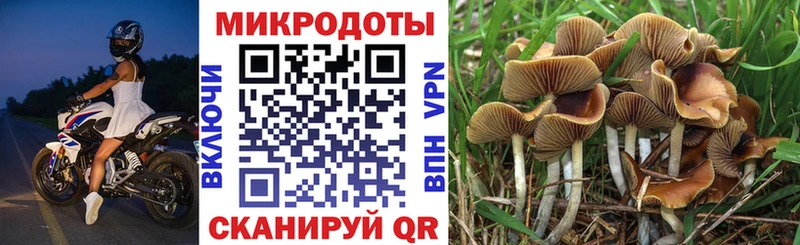 где можно купить   shop Telegram  Галлюциногенные грибы Psilocybine cubensis  Москва 
