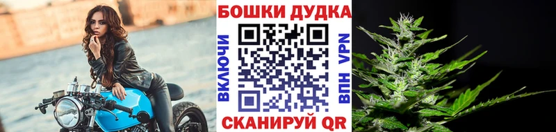 ссылка на мегу ССЫЛКА  Москва  Бошки марихуана планчик 